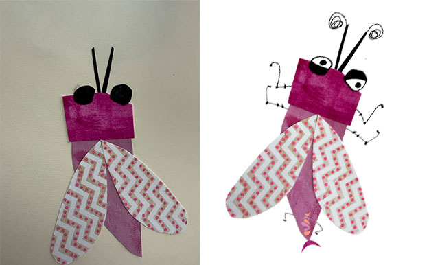 Bug_antes_despues_janegonzalez_03